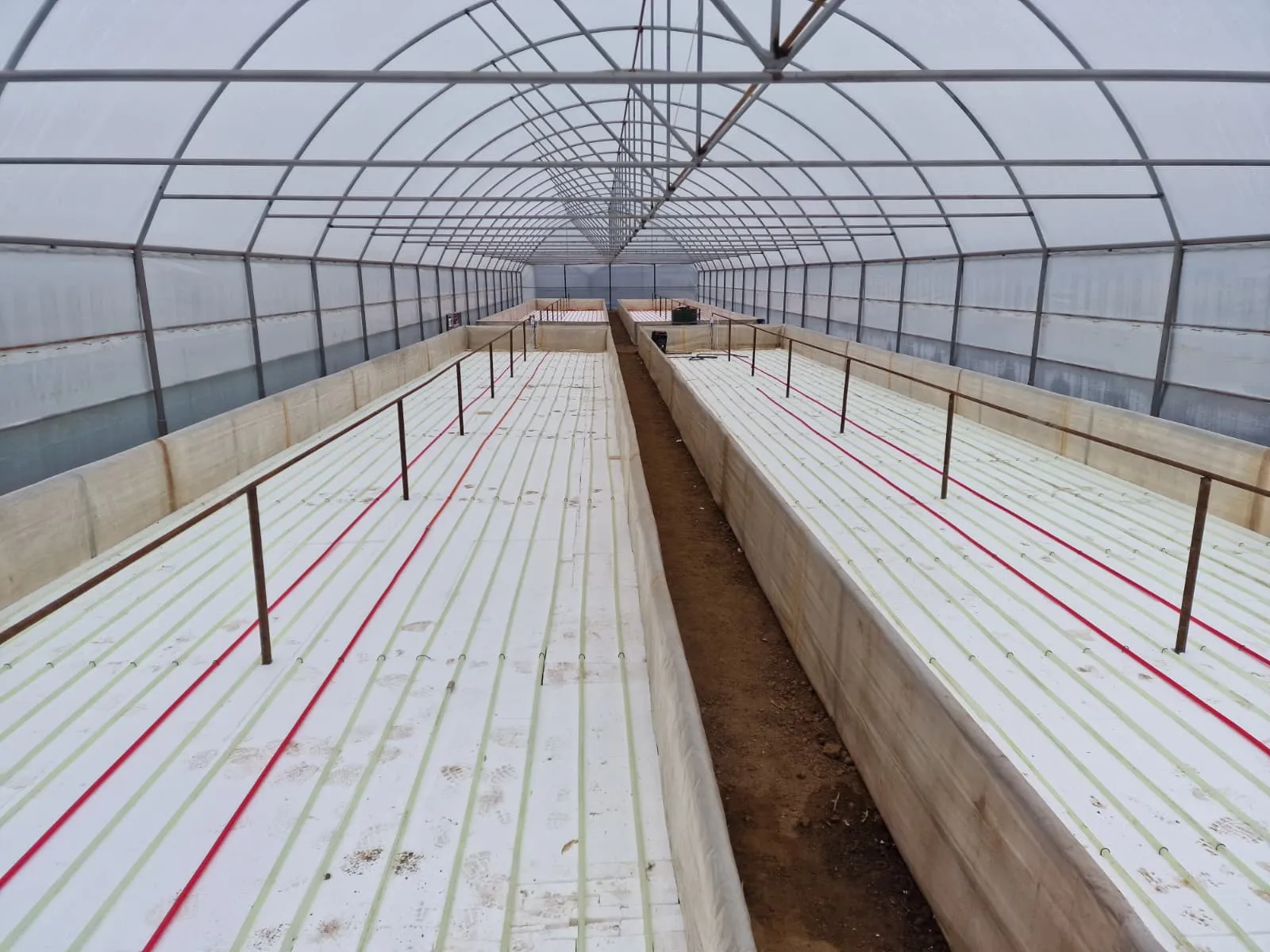 Sistem încălzire seră modernă